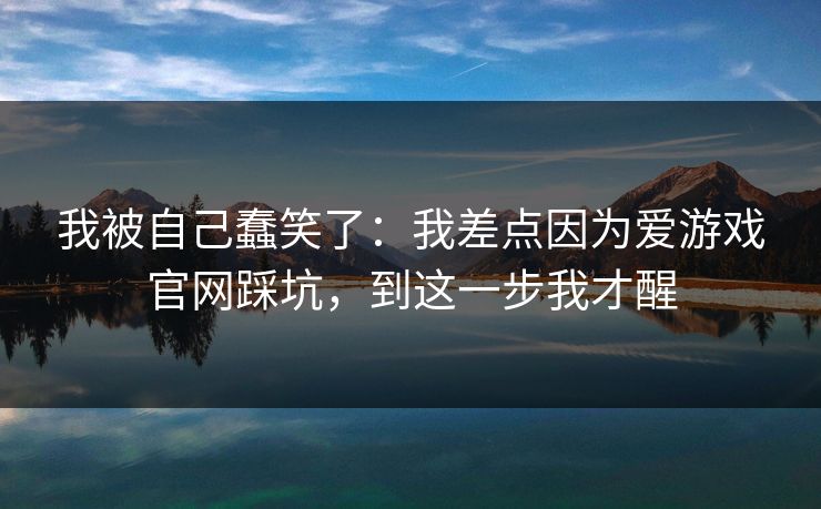 我被自己蠢笑了：我差点因为爱游戏官网踩坑，到这一步我才醒