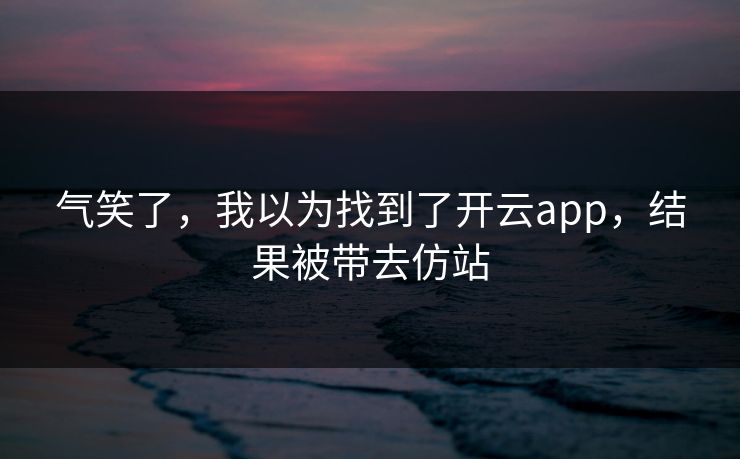 气笑了，我以为找到了开云app，结果被带去仿站
