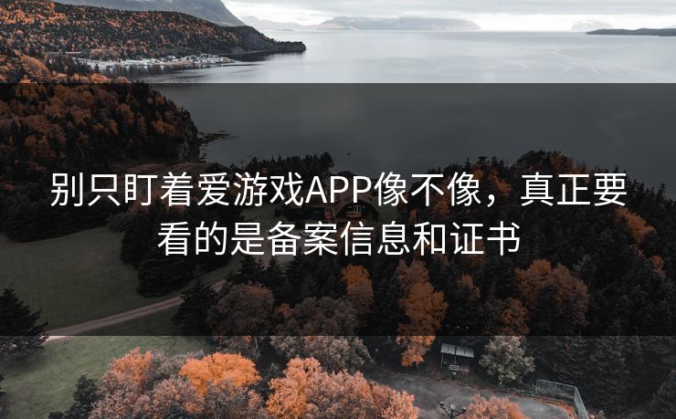 别只盯着爱游戏APP像不像，真正要看的是备案信息和证书